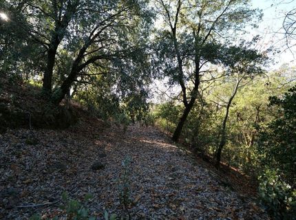 Sutter Highlands Dr., Sutter Creek, CA 95685 Photo