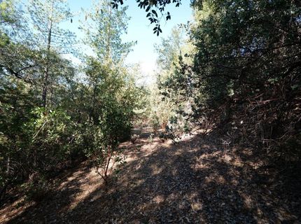 Sutter Highlands Dr., Sutter Creek, CA 95685 Photo
