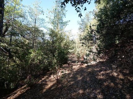 Sutter Highlands Dr., Sutter Creek, CA 95685 Photo
