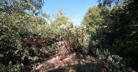 Sutter Highlands Dr., Sutter Creek, CA 95685 Photo
