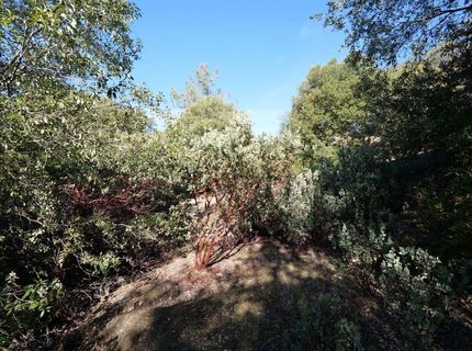 Sutter Highlands Dr., Sutter Creek, CA 95685 Photo