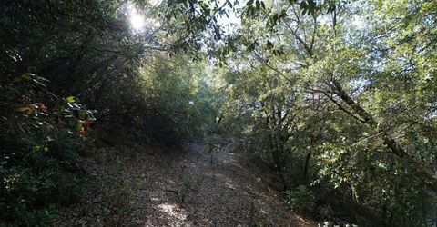 Sutter Highlands Dr., Sutter Creek, CA 95685 Photo