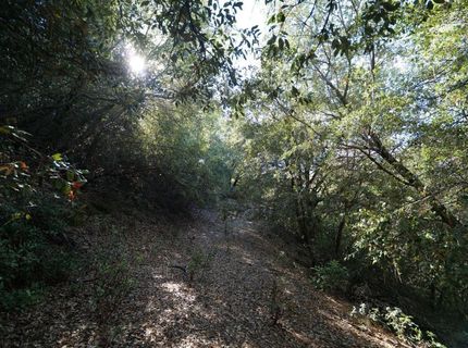 Sutter Highlands Dr., Sutter Creek, CA 95685 Photo
