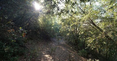 Sutter Highlands Dr., Sutter Creek, CA 95685 Photo