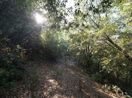 Sutter Highlands Dr., Sutter Creek, CA 95685 Photo