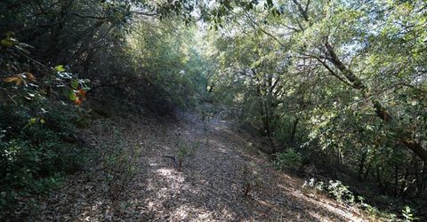Sutter Highlands Dr., Sutter Creek, CA 95685 Photo