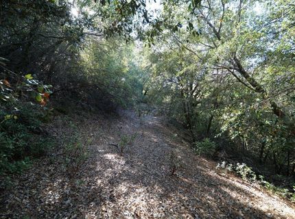 Sutter Highlands Dr., Sutter Creek, CA 95685 Photo