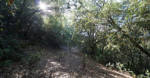 Sutter Highlands Dr., Sutter Creek, CA 95685 Photo