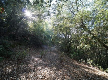 Sutter Highlands Dr., Sutter Creek, CA 95685 Photo