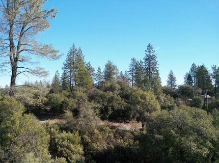 Sutter Highlands Dr., Sutter Creek, CA 95685 Photo