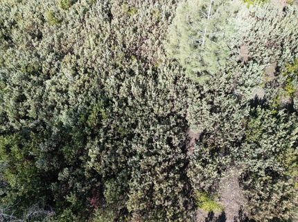 Sutter Highlands Dr., Sutter Creek, CA 95685 Photo