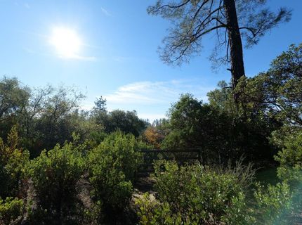 Sutter Highlands Dr., Sutter Creek, CA 95685 Photo