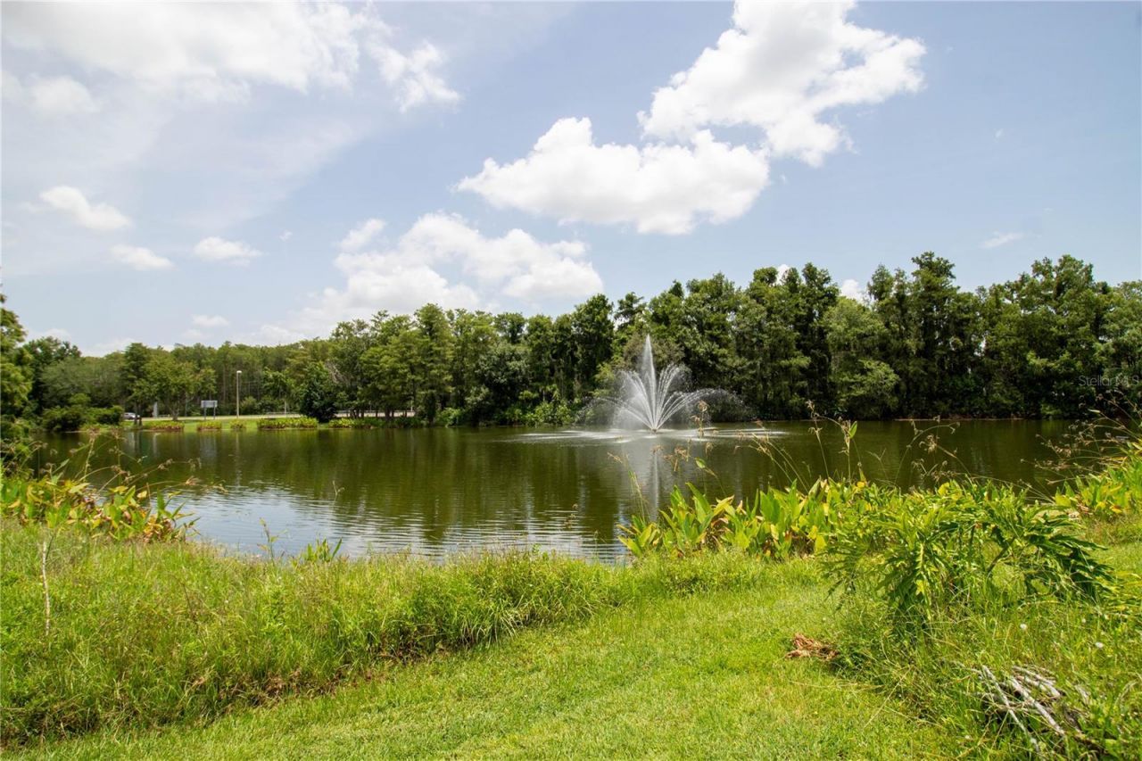 14036 Fairway Island Drive Unit, Unit 1535, Orlando, FL 32837 Photo
