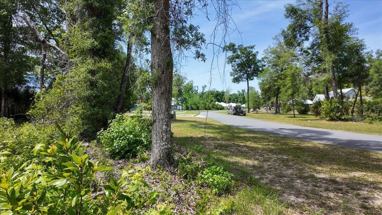 Katherine Way , Fanning Springs, FL 32693 Photo