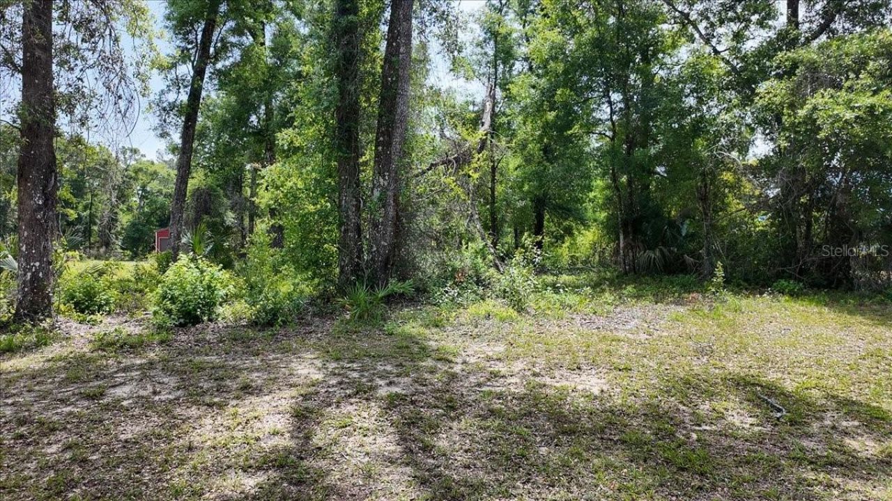Katherine Way , Fanning Springs, FL 32693 Photo