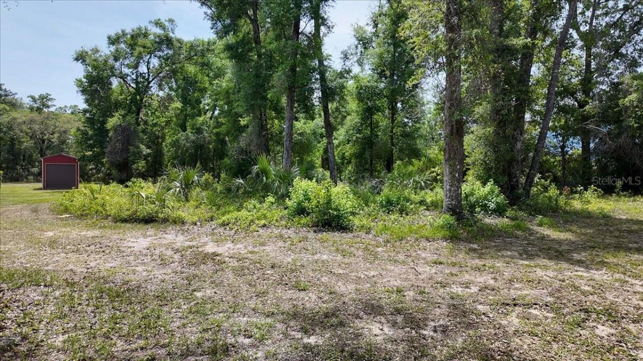 Katherine Way , Fanning Springs, FL 32693 Photo