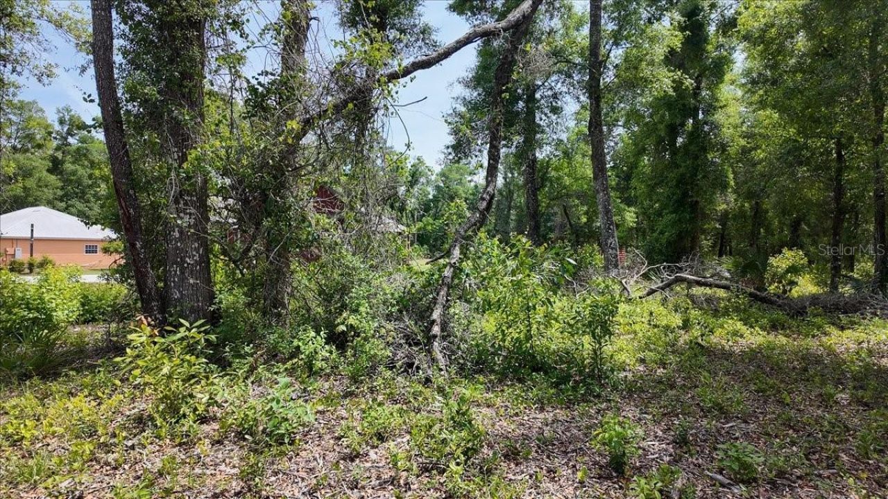 Katherine Way , Fanning Springs, FL 32693 Photo