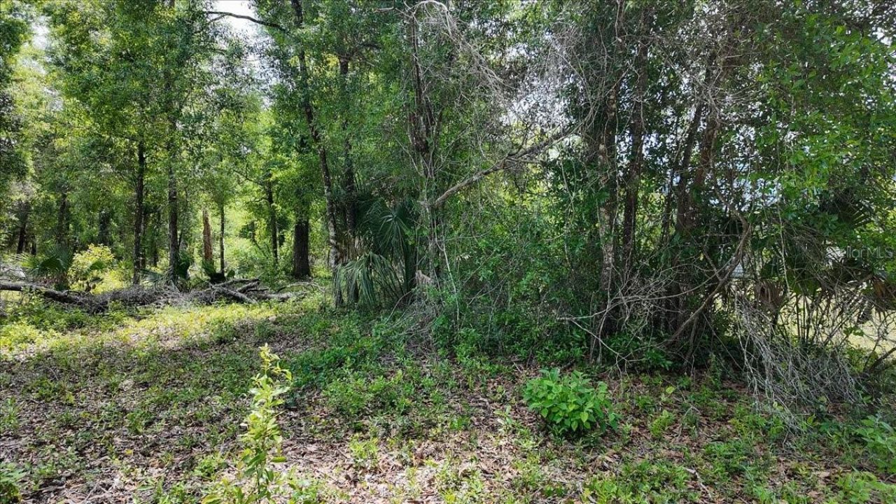 Katherine Way , Fanning Springs, FL 32693 Photo