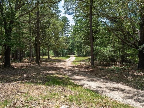 TBD Pvt. Rd 8079 Road , Ben Wheeler, TX 75754