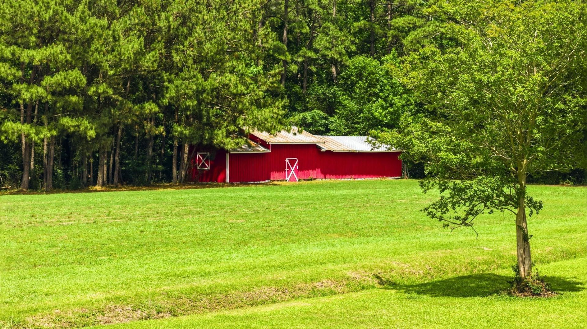 1315 Sioux Swamp Dr.  Photo 22