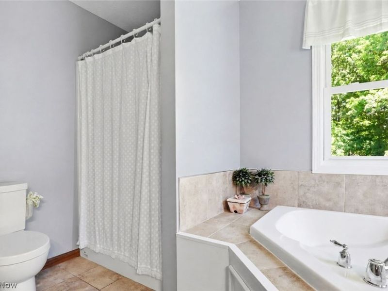 8255 Hemingway Lane , Concord Township, OH 44060 Photo 18