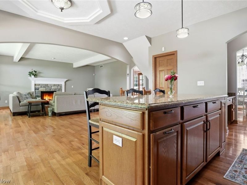 8255 Hemingway Lane , Concord Township, OH 44060 Photo 6