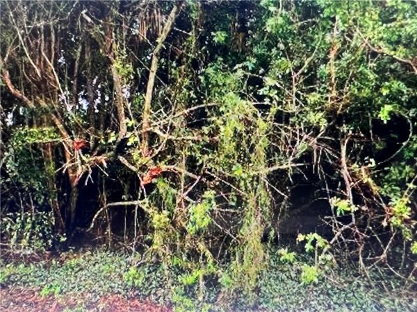 323 13th Place SW, Vero Beach, FL 32962