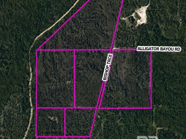 0 Bishop Trace, Lillian, AL 36549