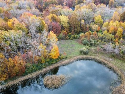 3886 Douglas Road Ida, MI 48140