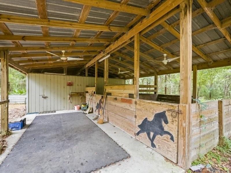 9986 S Forestline Avenue, Inverness, FL 34452 Photo