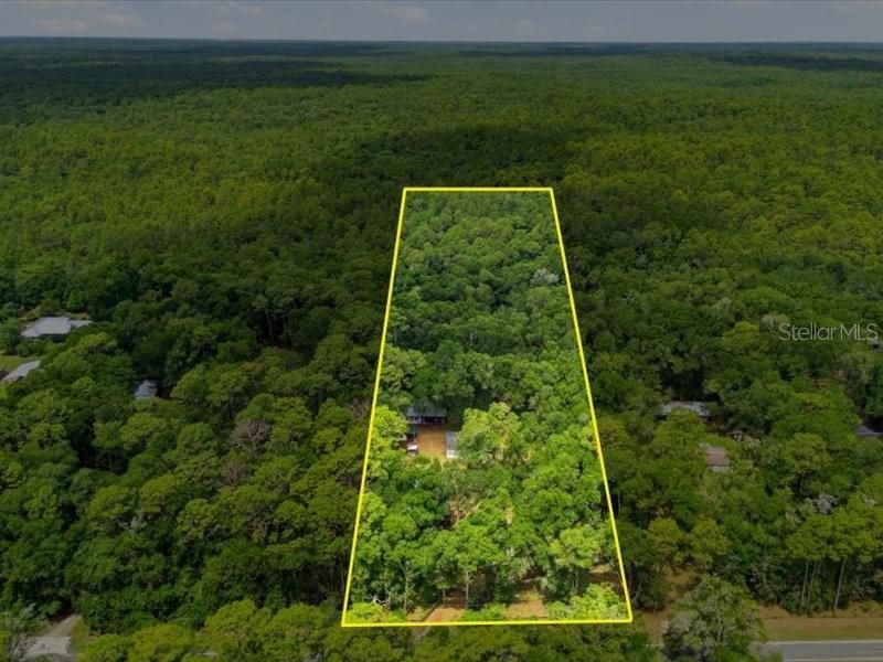9986 S Forestline Avenue, Inverness, FL 34452 Photo