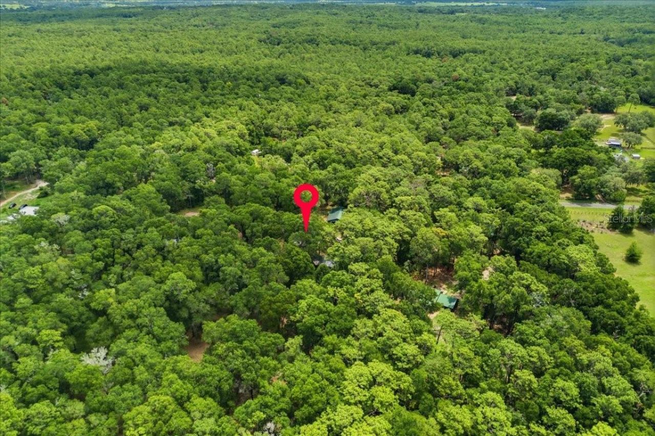 9986 S Forestline Avenue, Inverness, FL 34452 Photo