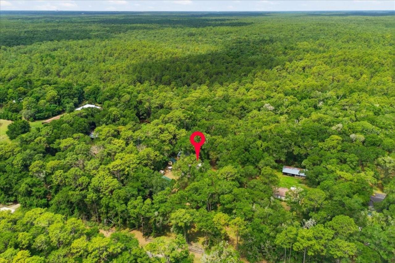 9986 S Forestline Avenue, Inverness, FL 34452 Photo