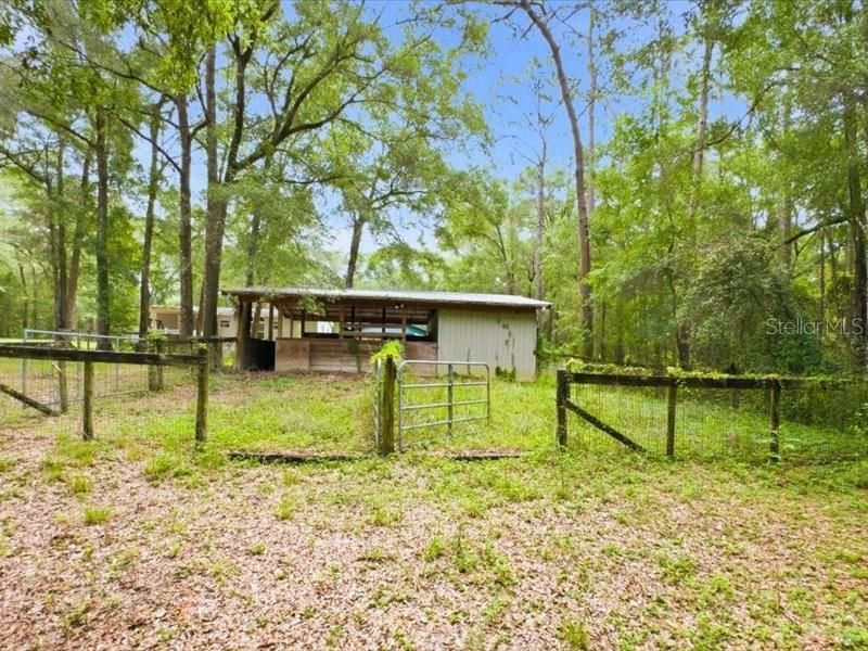 9986 S Forestline Avenue, Inverness, FL 34452 Photo