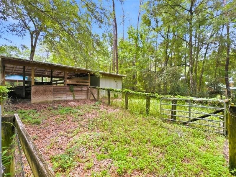 9986 S Forestline Avenue, Inverness, FL 34452 Photo