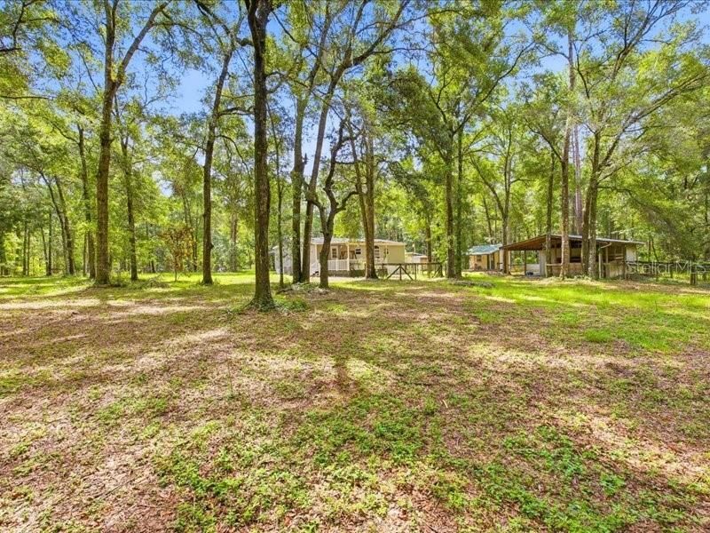 9986 S Forestline Avenue, Inverness, FL 34452 Photo