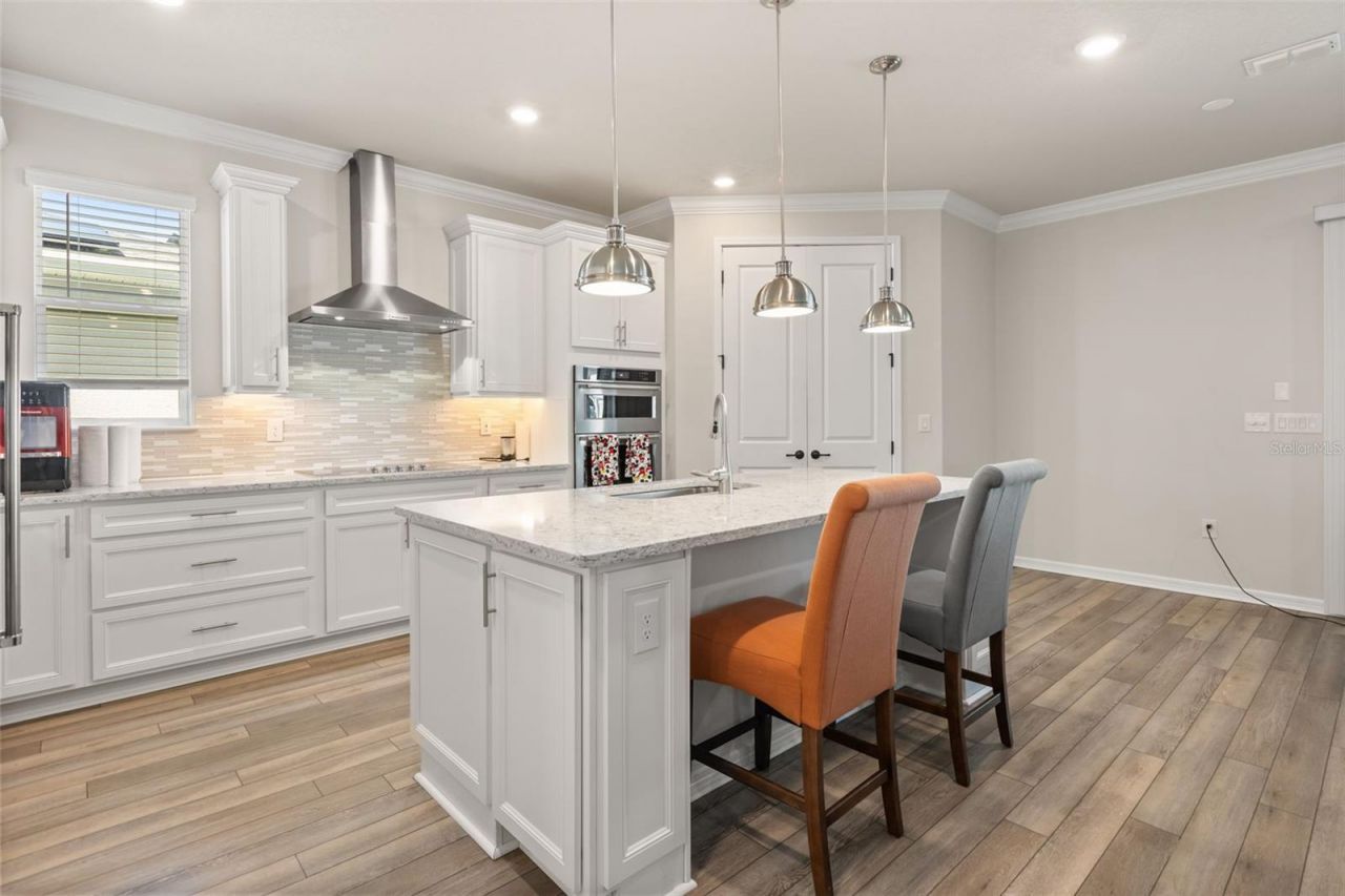 3362 Hanging Tide Street, Winter Garden, FL 34787 Photo
