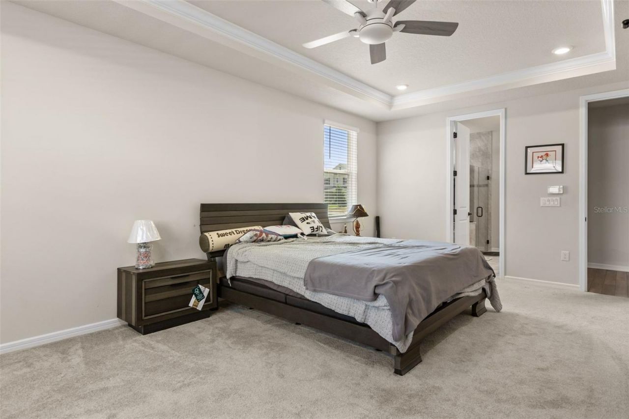 3362 Hanging Tide Street, Winter Garden, FL 34787 Photo