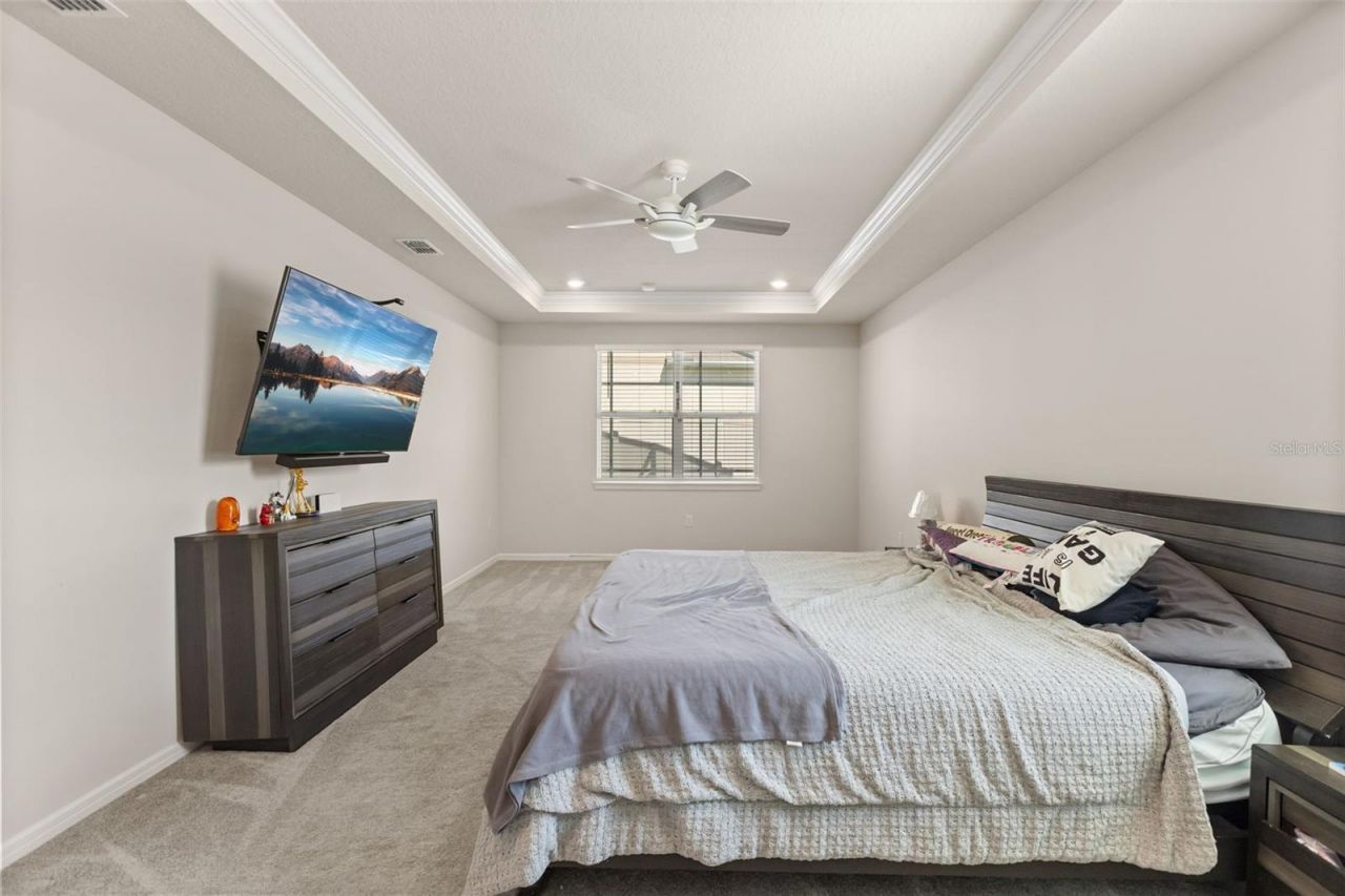 3362 Hanging Tide Street, Winter Garden, FL 34787 Photo