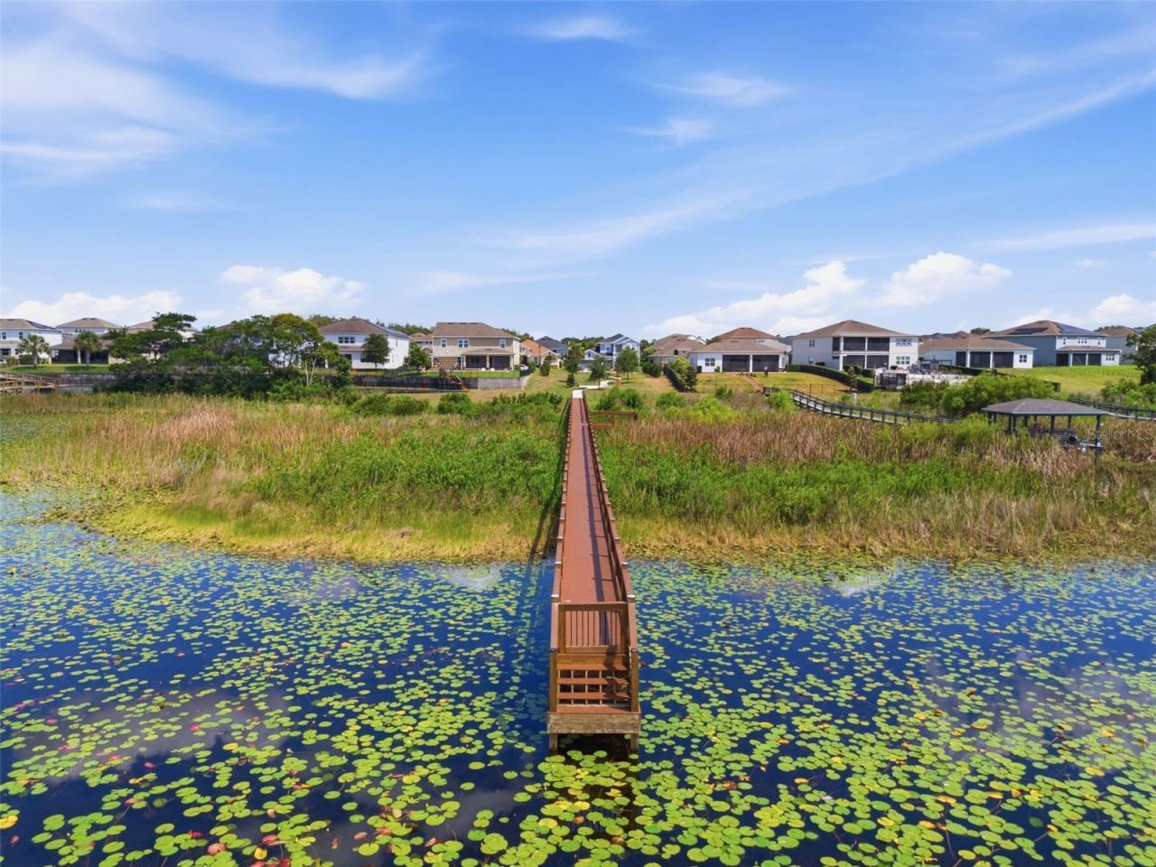 3362 Hanging Tide Street, Winter Garden, FL 34787 Photo