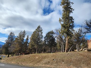 Coopers Hawk, Unit 259, Klamath Falls, OR 97601