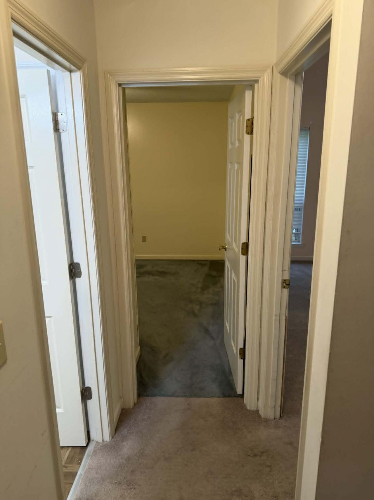 3603 Walkers Ferry Lane Photo 11