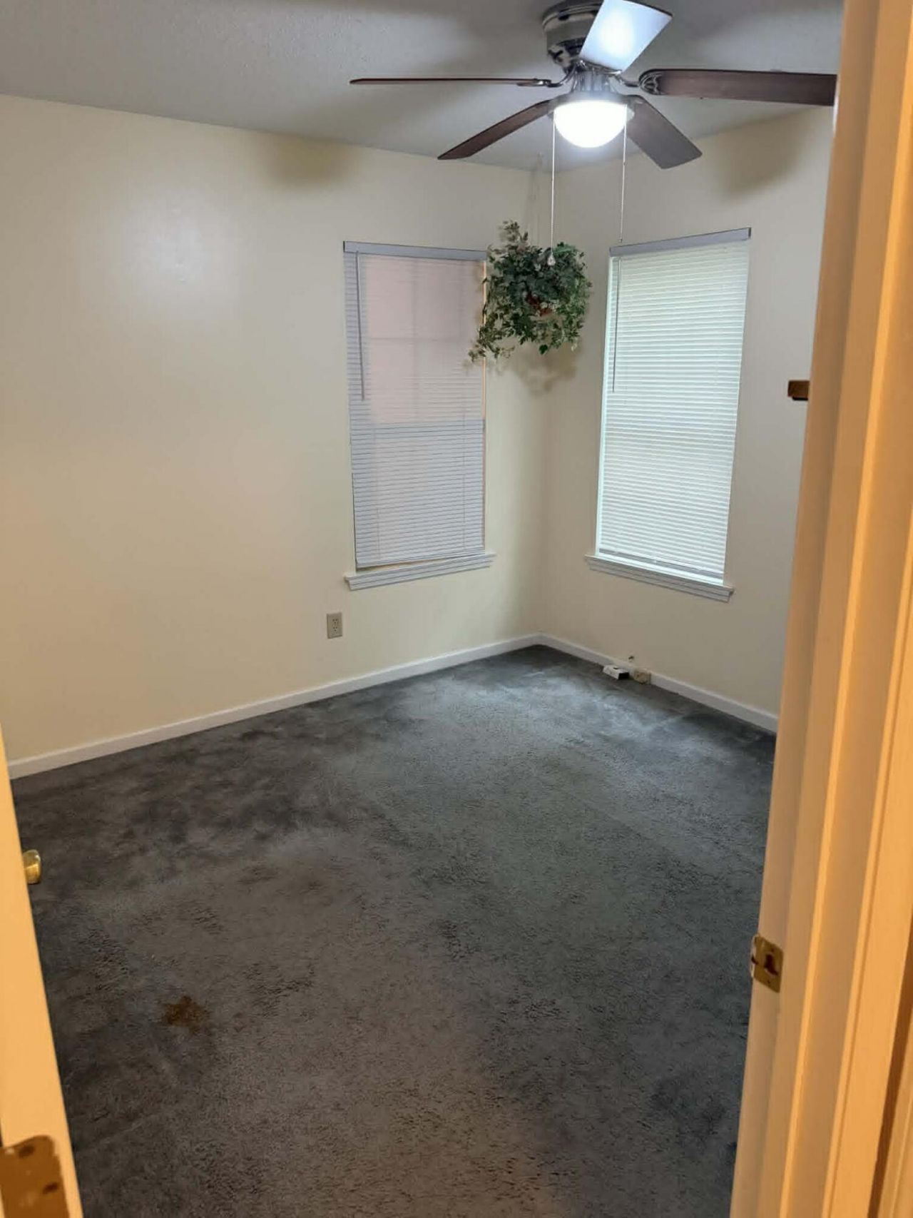 3603 Walkers Ferry Lane Photo 14