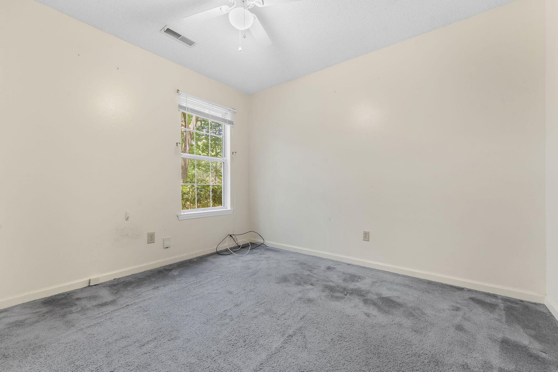 3603 Walkers Ferry Lane Photo 19