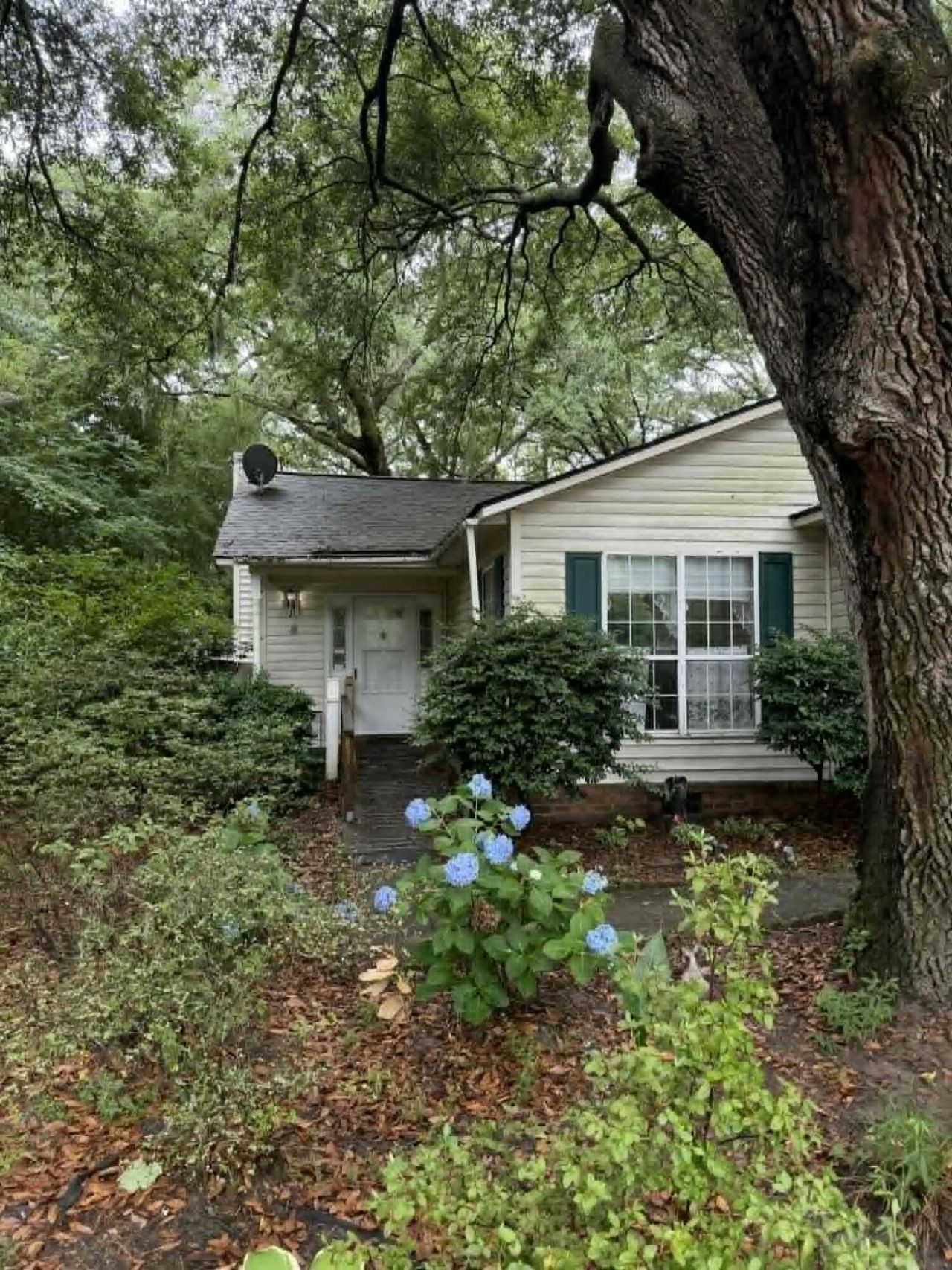 3603 Walkers Ferry Lane Photo 34
