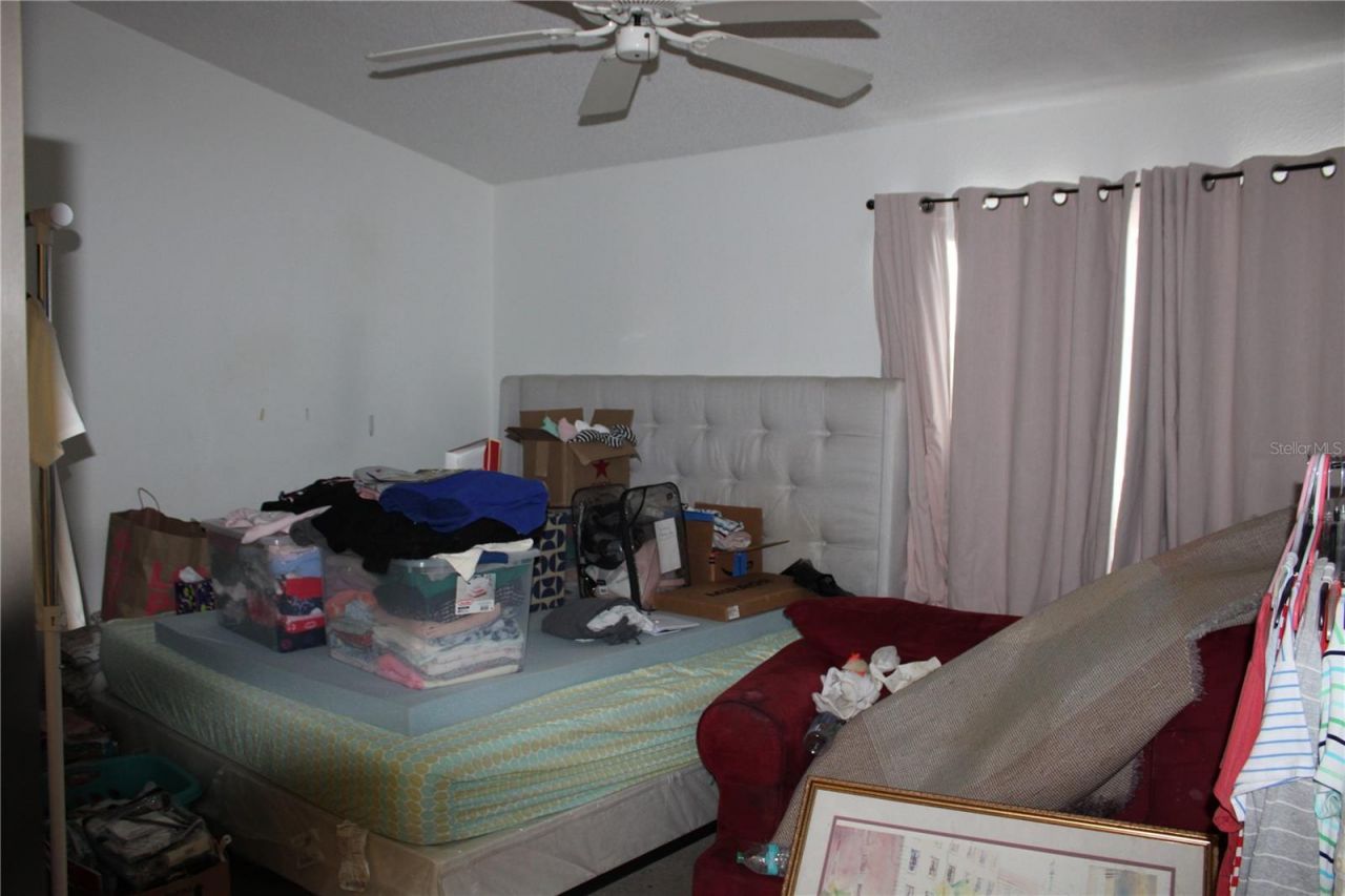202 Hemingway Drive, Oldsmar, FL 34677 Photo