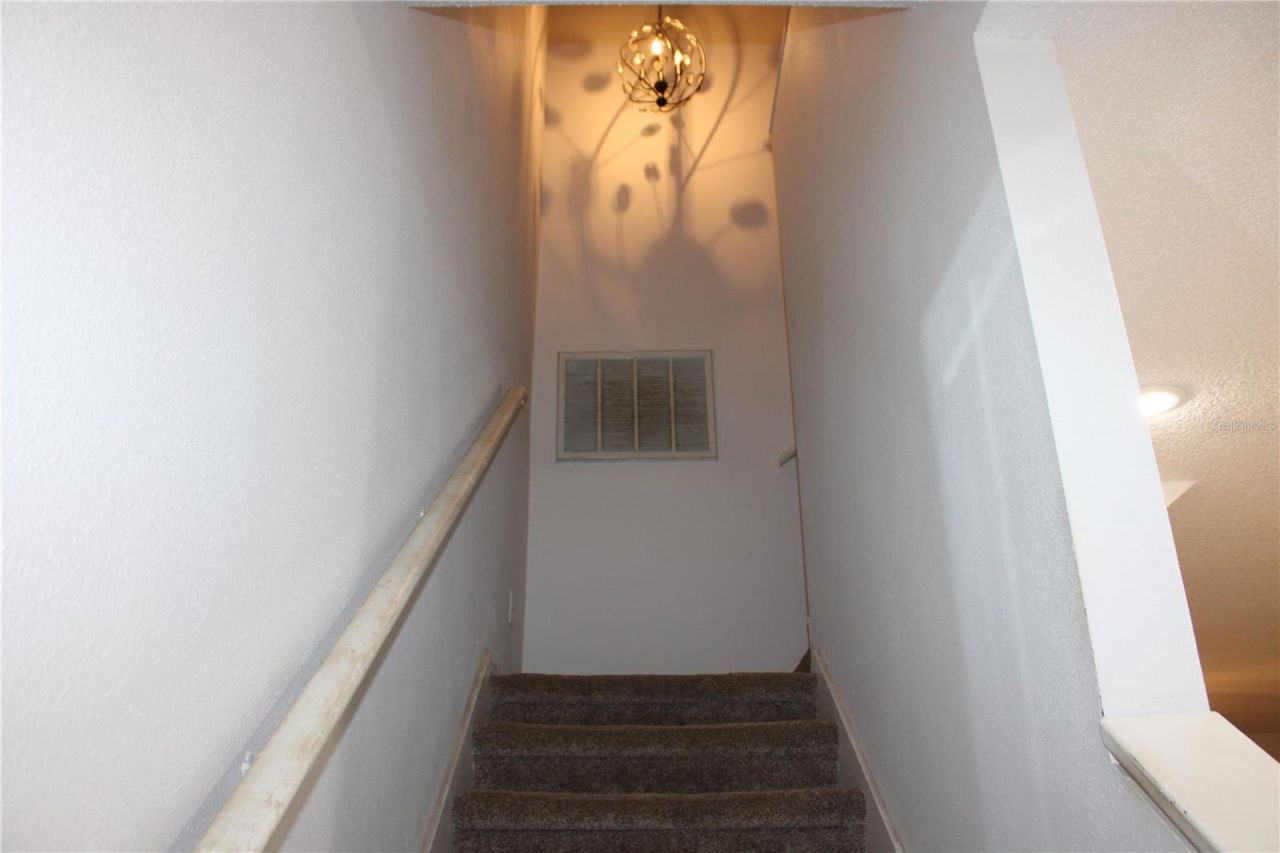 202 Hemingway Drive, Oldsmar, FL 34677 Photo