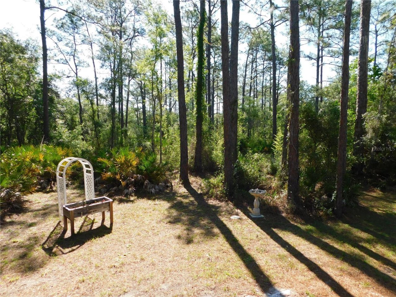 5535 S Will Point , Homosassa, FL 34446 Photo