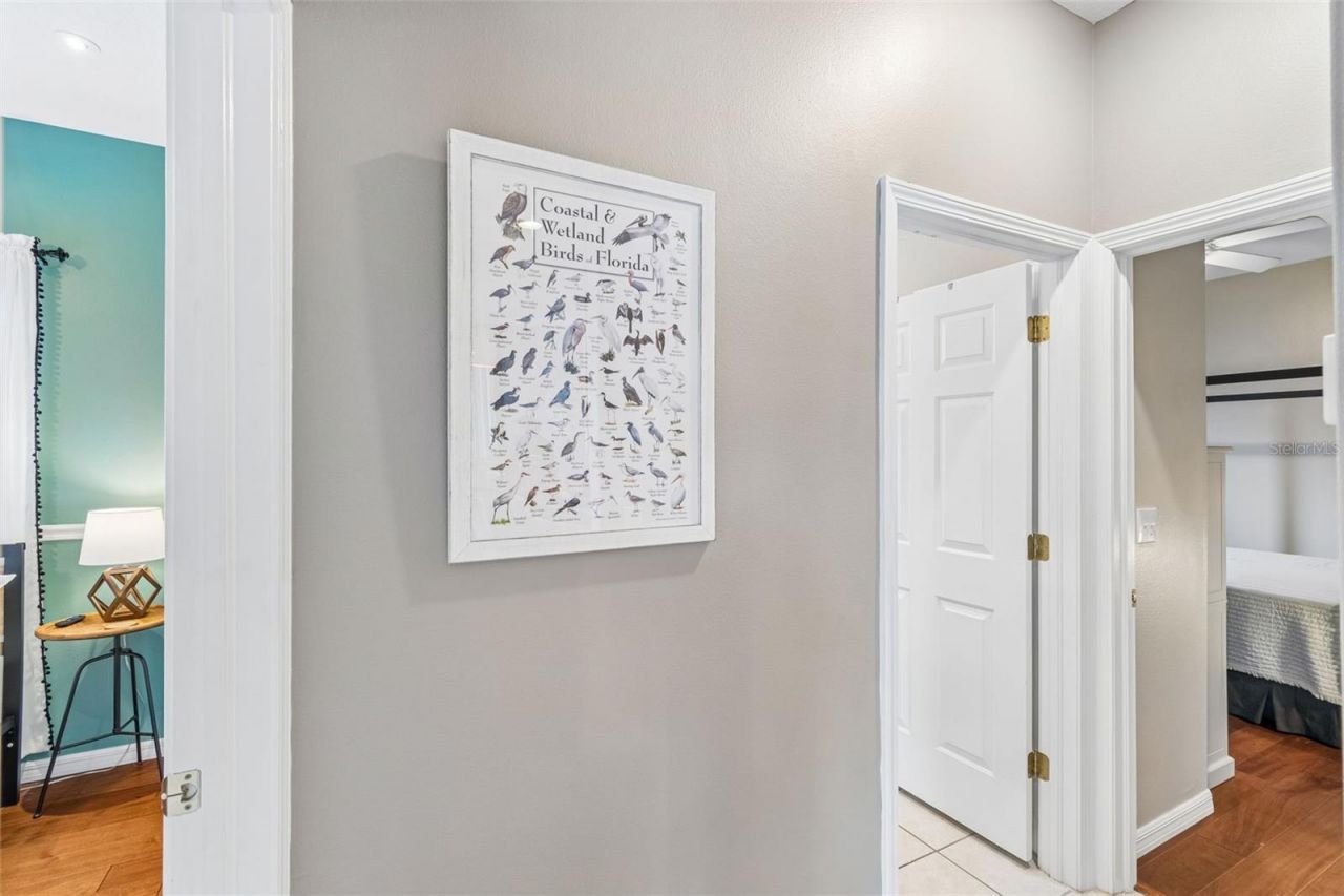 1616 Regal Mist Loop , Trinity, FL 34655 Photo