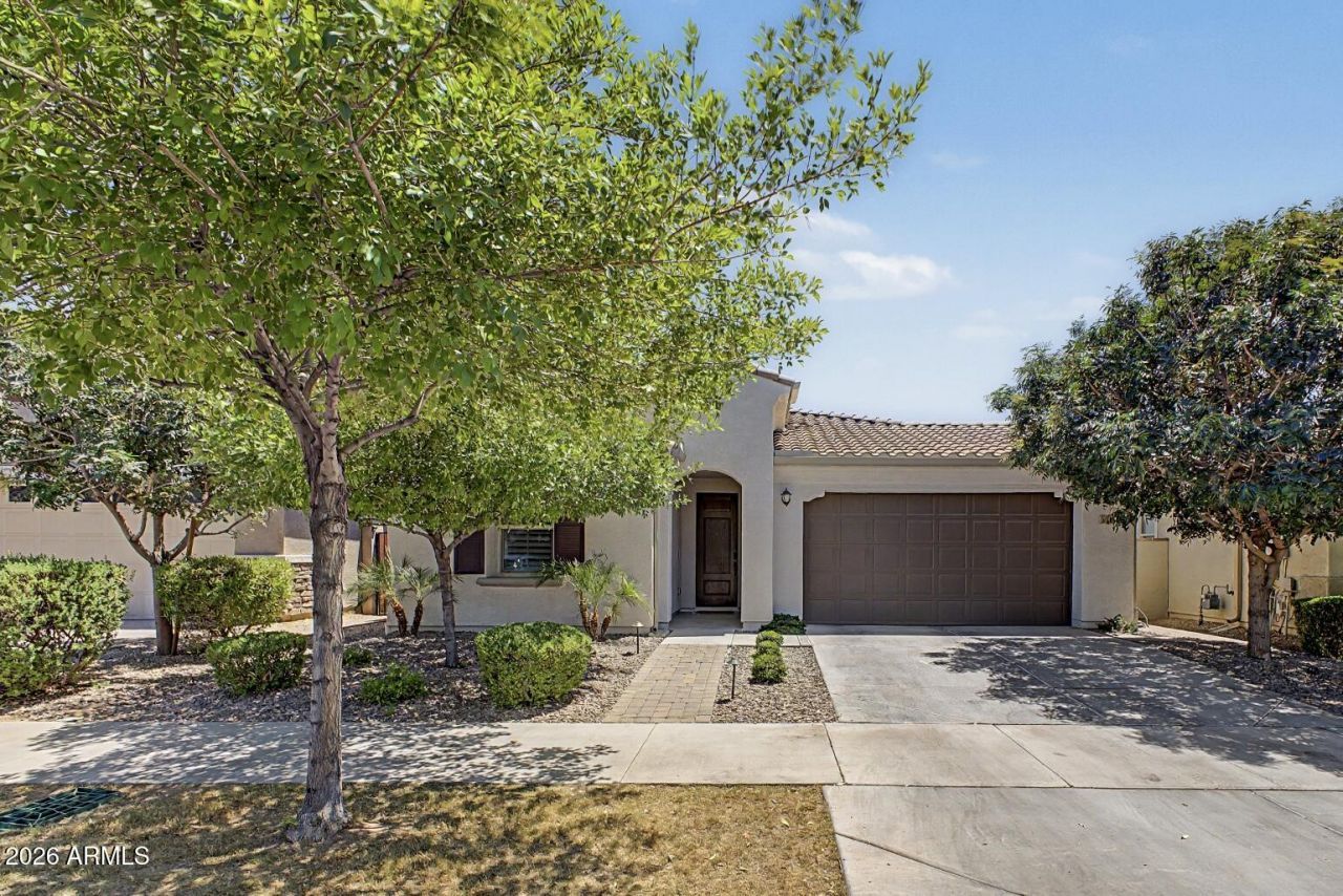 9919 E Thornbush Avenue, Mesa, AZ 85212 Main Photo